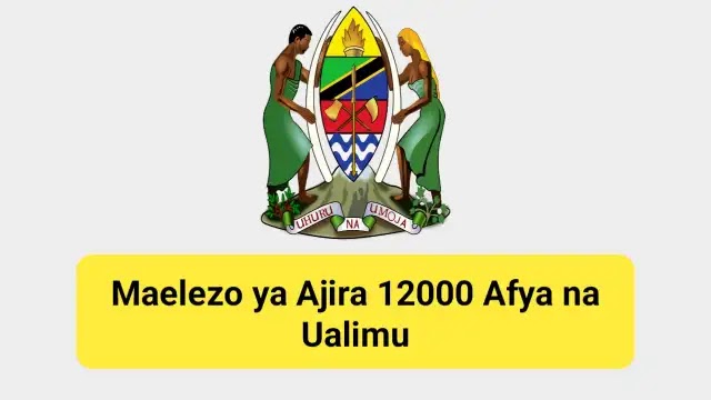 Maelezo ya Ajira 12000 Afya na Ualimu