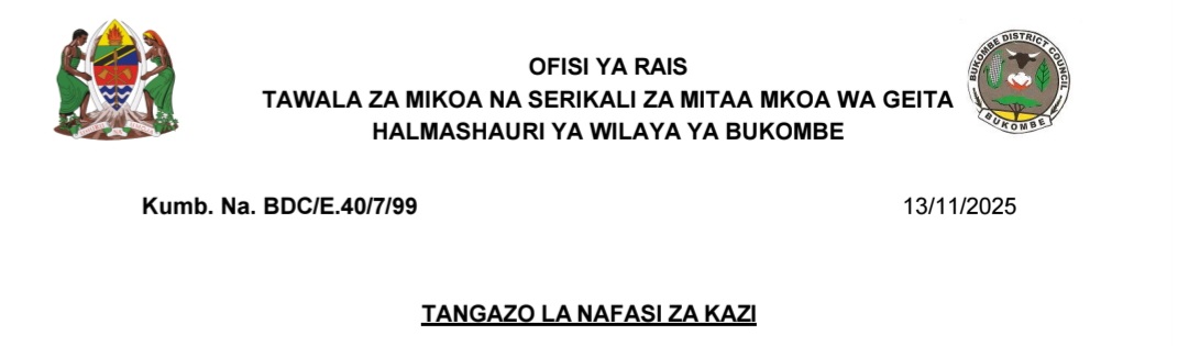 Nafasi 13 za Kazi Bukombe District Council