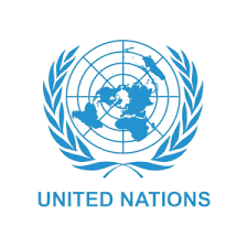 Jobs in United Nations  2026
